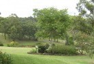 Belrose Westresidential-landscaping-40.jpg; ?>