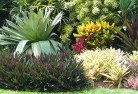Belrose Westresidential-landscaping-58.jpg; ?>