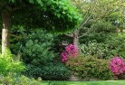 Belrose Westresidential-landscaping-74.jpg; ?>